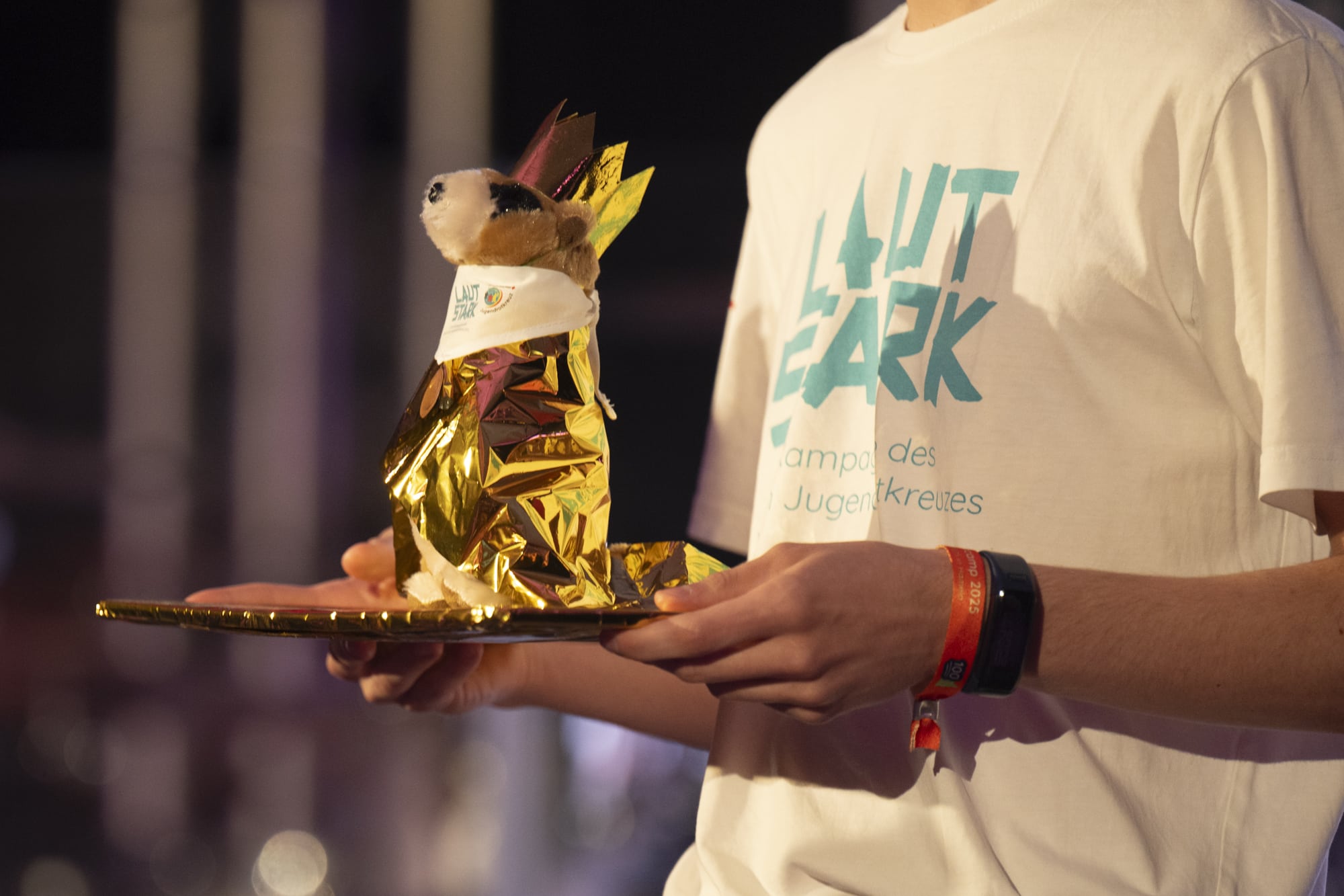 Eure Supercamp-Workshops